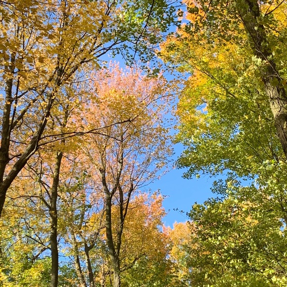 Meet your Posher, Lindsay - Picture 1 of 1